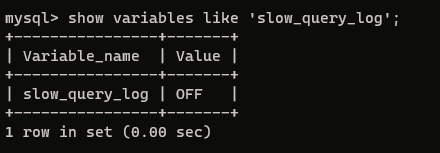 slow_query_log